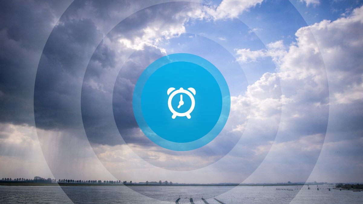 Goedemorgen! Start Boekenweek, nieuw schoolplein Vrouwenpolder en afsluiting Zeelandbrug