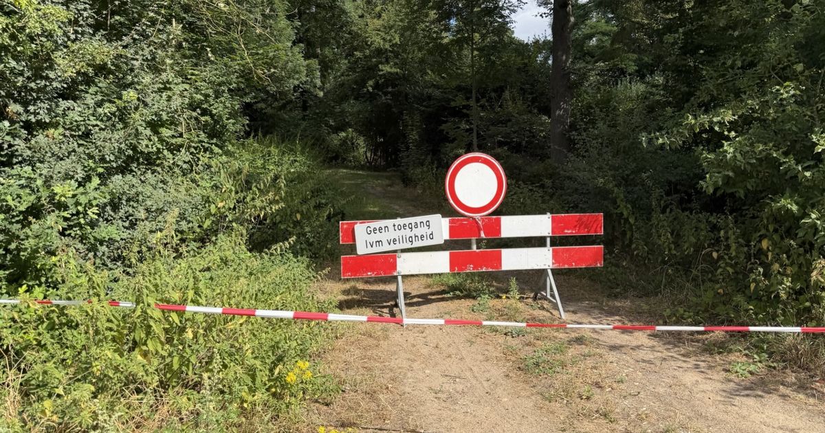 Afbeelding bij Horst aan de Maas sluit gedeelte bos vanwege gevaarlijke situatie voor wandelaars