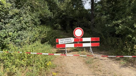 Gemeente sluit gedeelte bos in Horst om vrees voor omvallende bomen Home