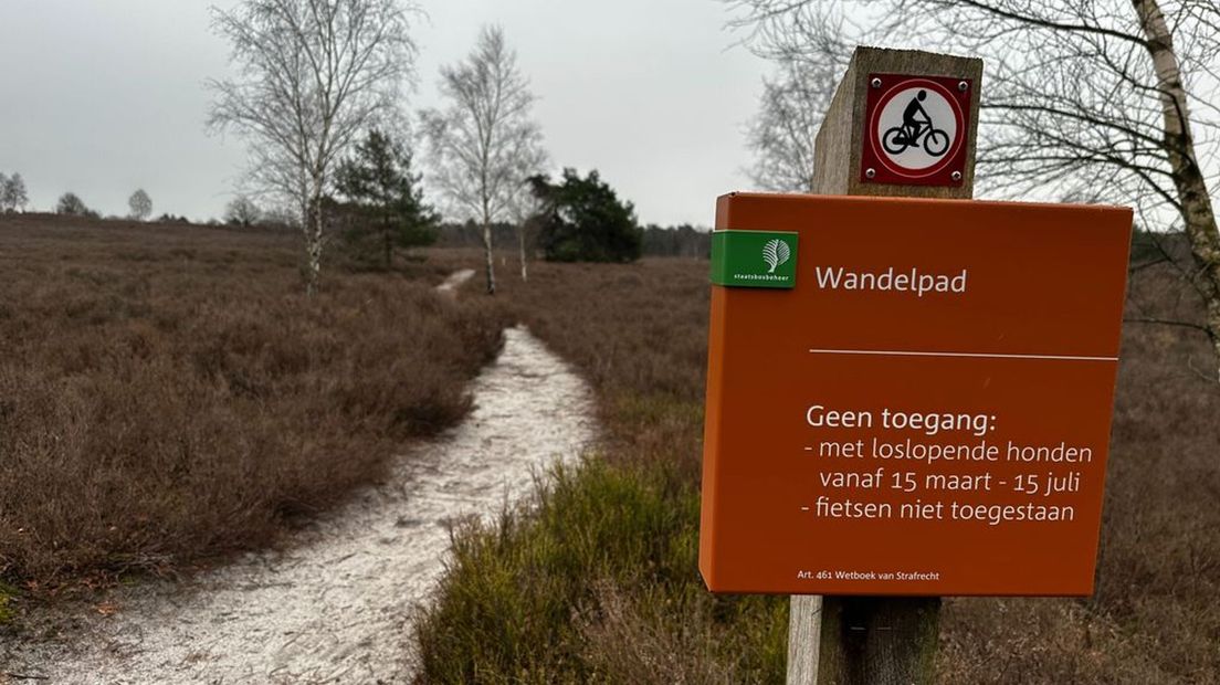 Hond moet op meer plekken aan de lijn