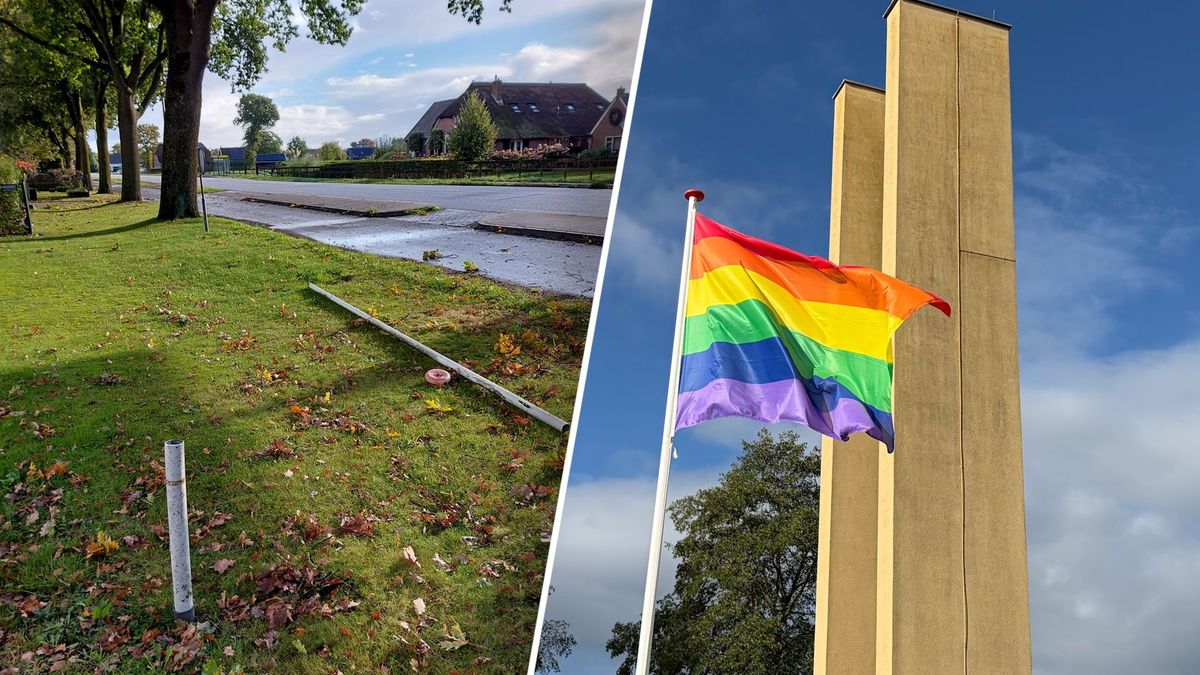 Regenboogvlaggen in Oldebroek met geweld verwijderd na massale actie