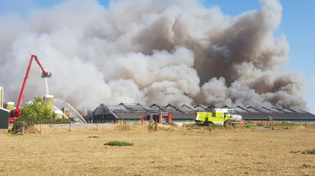 Bij een grote stalbrand aan de Tatelaarweg in Didam zijn dinsdagmiddag alle 2500 varkens omgekomen, meldt de veiligheidsregio. De rookwolken waren van ver te zien.