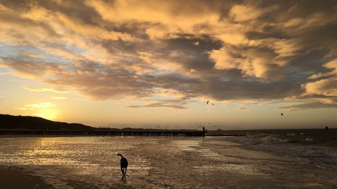 Voor mensen van buiten Zeeland: zo mooi is Zoutelande (je weet wel, van het nummer van BLØF)