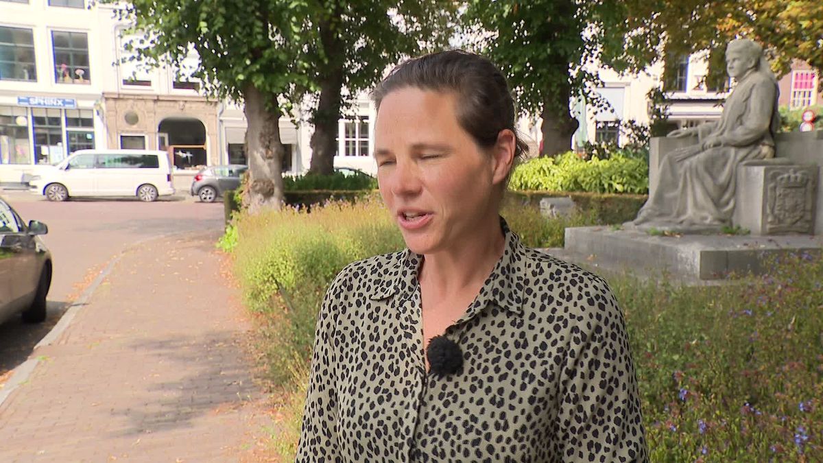 Damplein Middelburg: van blik naar een groen park
