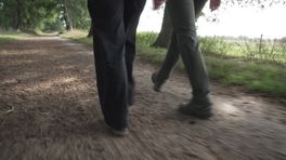 Reeën en ooievaars in Drentsche Aa-gebied
