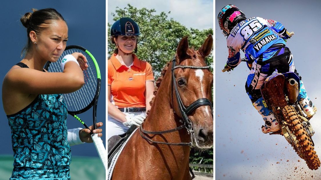 De genomineerden voor Sportvrouw van het jaar: Lesley Kerkhove, Jeanine Nieuwenhuis en Nancy van de Ven (vlnr)