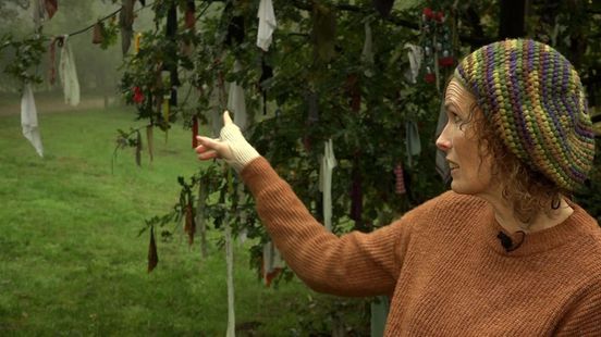 Koortsboom in Overasselt biedt steun en troost, ook zonder titel 'Boom van het Jaar'