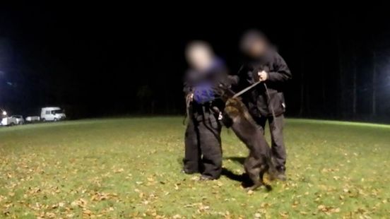 Onrust hondenliefhebbers: Dierenmishandelaar krijgt onderscheiding van Politiehondenvereniging - Omroep Gelderland