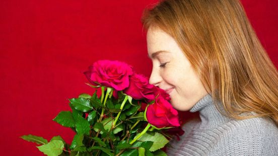 Hijgend cliënt Bacteriën Rozen zijn hartstikke duur, welke andere bloem kun je geven aan je Valentijn?  - Omroep Gelderland