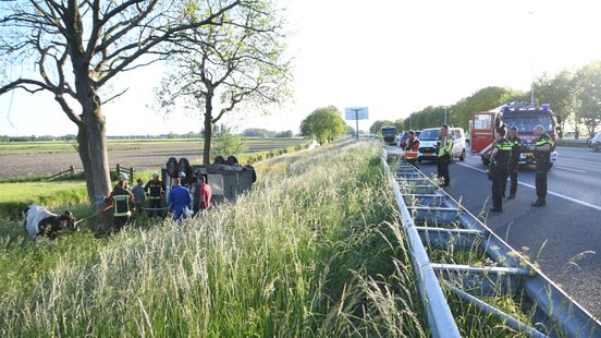 Loslopende koe na ongeluk met veewagen leidt tot file op A12 bij Woerden.