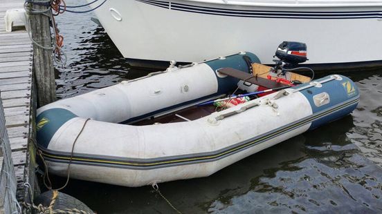 Productief Begeleiden B olie Nieuw-Weerdinger probeert vanuit gestolen boot buitenboordmotor te stelen -  RTV Drenthe