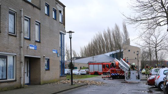 Oei het woei! Verstilde beelden van de storm - RTV Utrecht