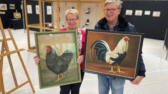 Geen gekakel en getok tijdens show, kippenfokkers beperkt door vogelgriep
