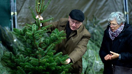 profiel verdediging Tweede leerjaar Kleine handelaren lijden onder goedkope kerstbomen van IKEA en Makro -  Omroep West