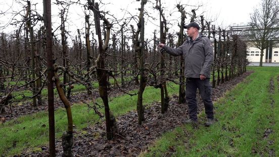 Fruittelers hebben zorgen over toekomst van hun bedrijf