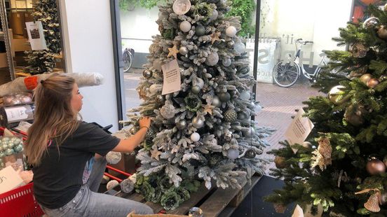 afbetalen impliciet Zes VIDEO | Eerste kerstbomen vandaag opgetuigd in Arnhem - Omroep Gelderland