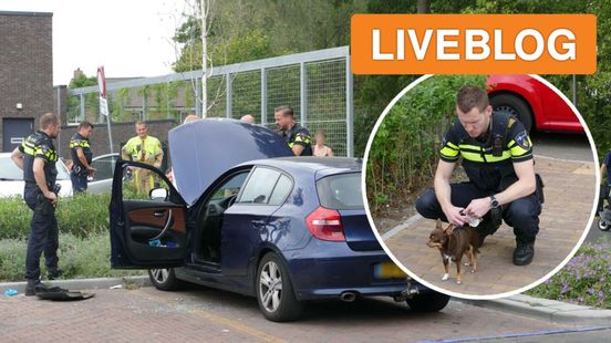 112-nieuws: omstanders bevrijden hond uit rokende auto • Albert Heijn ontruimd