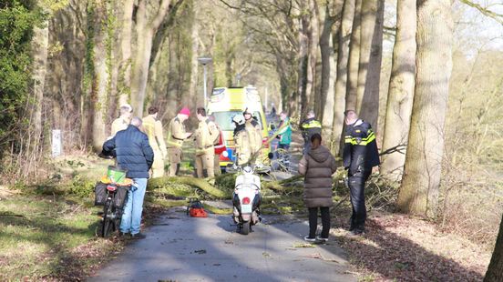 Fietser zwaargewond na botsing met omgevallen boom in Emmen.