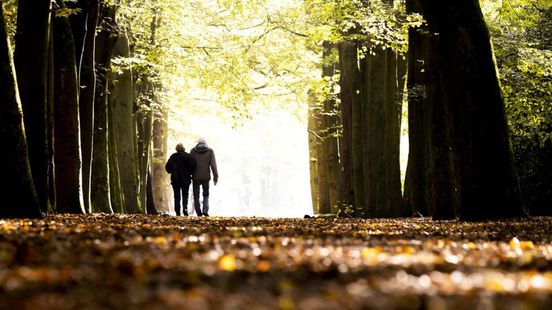 Omroep Gelderland Weer