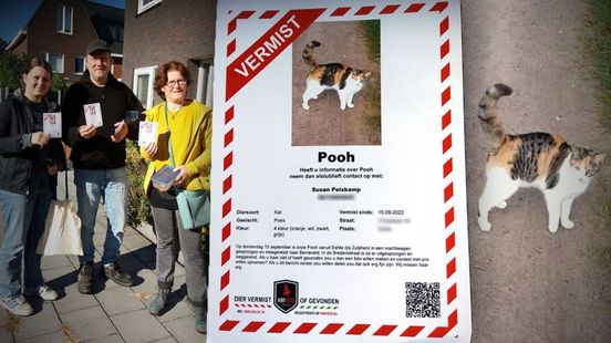 Eigenwijze kat lift met vrachtwagen mee, waar is Pooh nu?
