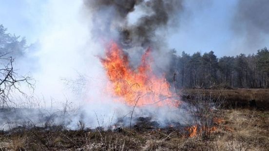Bomenkap op Veluwe moet verspreiding natuurbrand voorkomen
