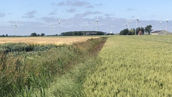 Gemeenteraad beslist over omstreden windpark bij Delfzijl