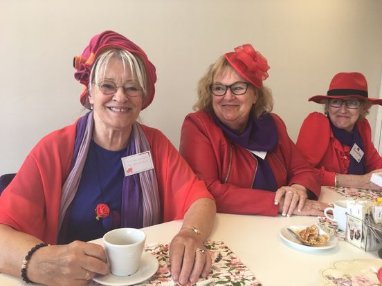 klassiek Bekend trimmen Rode hoedjes, paarse jurken en vooral heel veel lol bij Red Hat Society -  Rijnmond