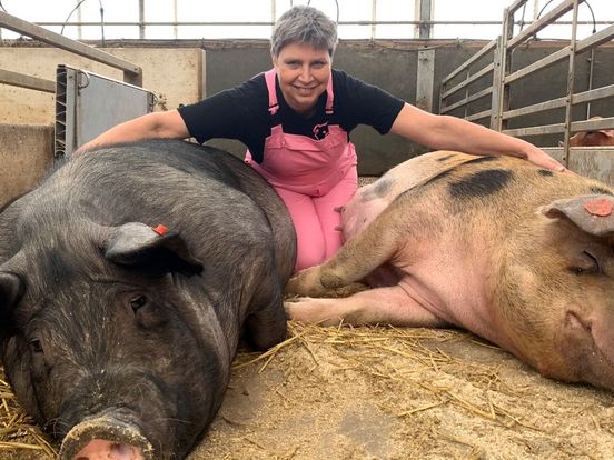 Met Noabers de Boer op: de unieke varkensstal De Varkenshoff van Annemarie Noordman in Lemelerveld