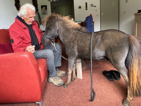 Expeditie Oost: Opa Brouwer (92) laat zijn paardje in de woonkamer grazen