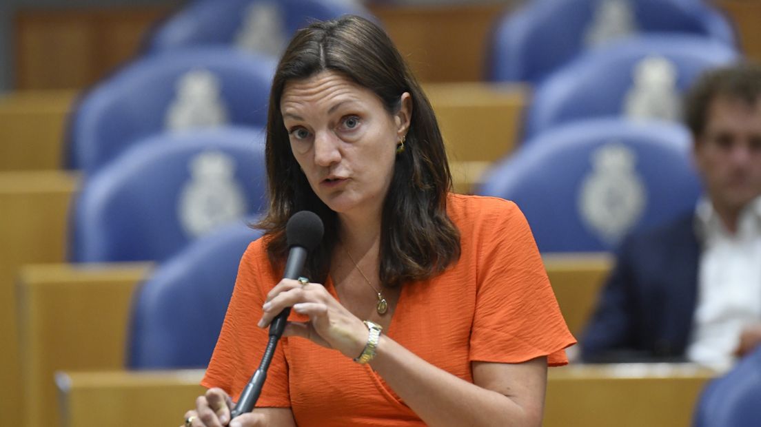 Sandra Beckerman in de Tweede Kamer