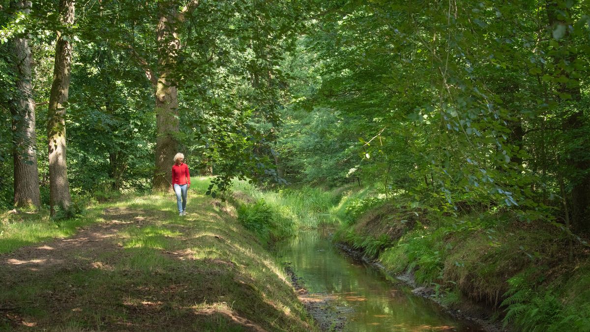 Landschap Overijssel koopt Het Oosterveld en stelt landgoed open voor publiek