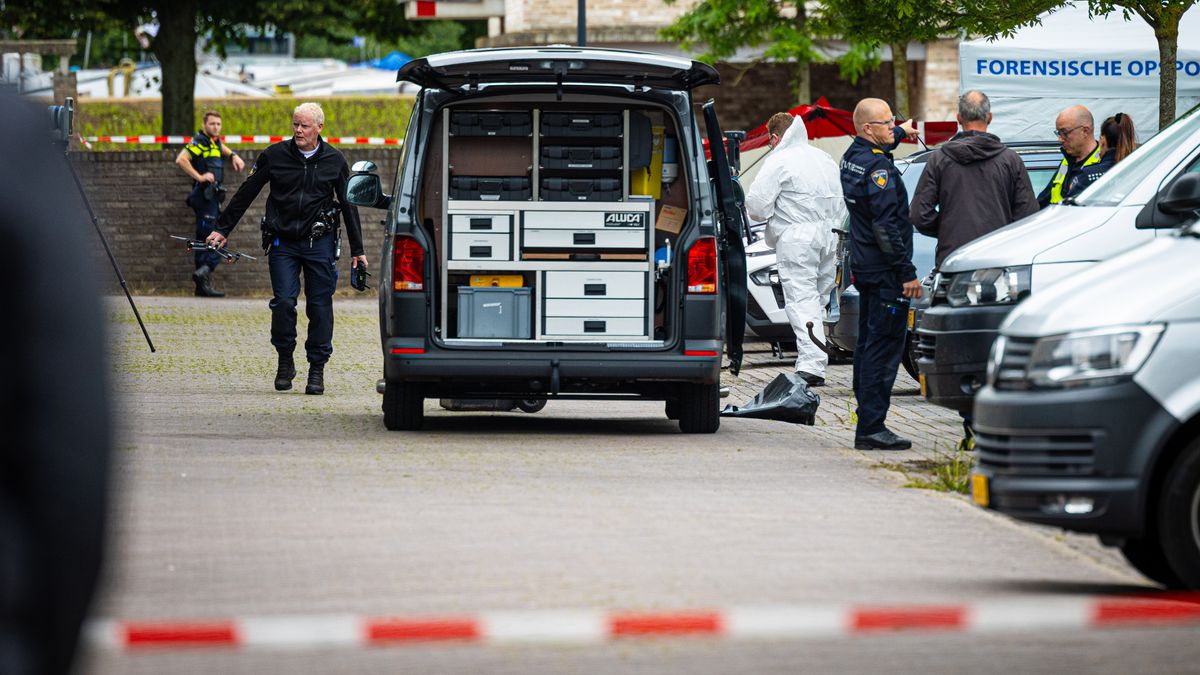 Doodgestoken vrouw uit Zwolle (67) lijkt willekeurig slachtoffer