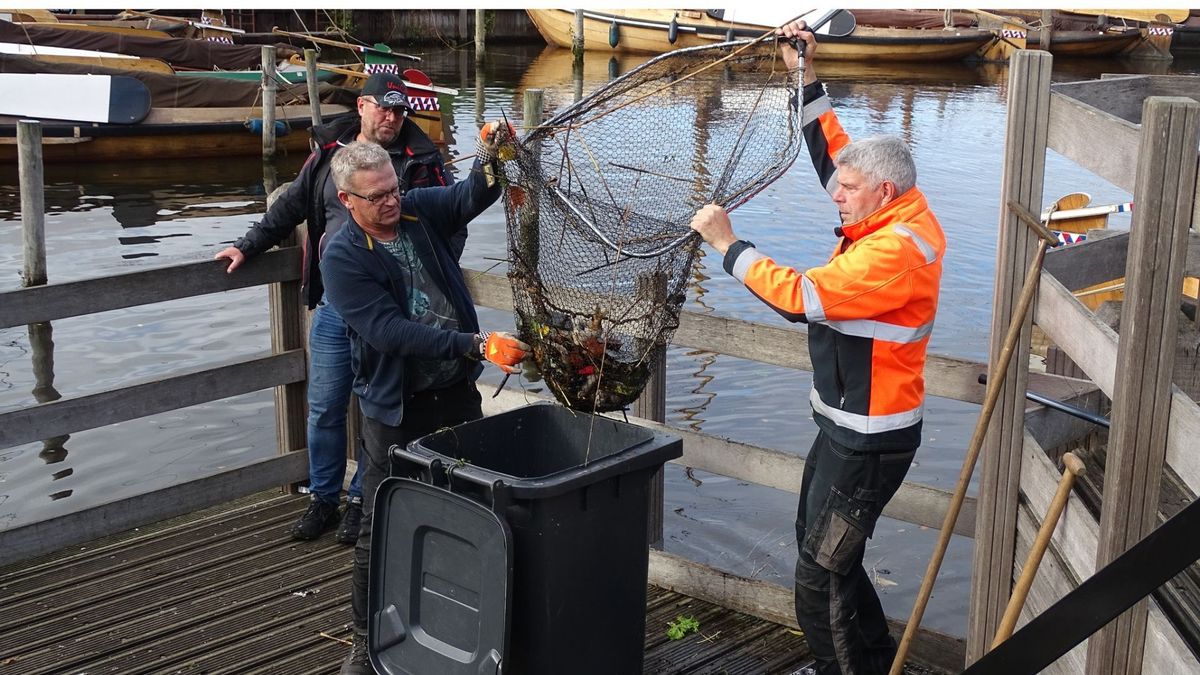 Massale vissterfte, wat is er mis in de haven van Elburg?