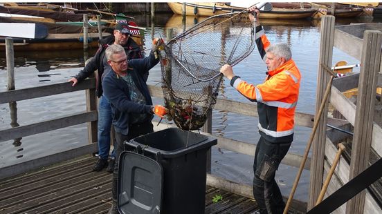 Massale vissterfte, wat is er mis in de haven van Elburg?