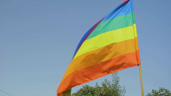 Politie zoekt naar informatie rond gestolen regenboogvlaggen