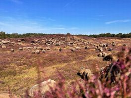 Wat is er dit weekend te doen in Drenthe?
