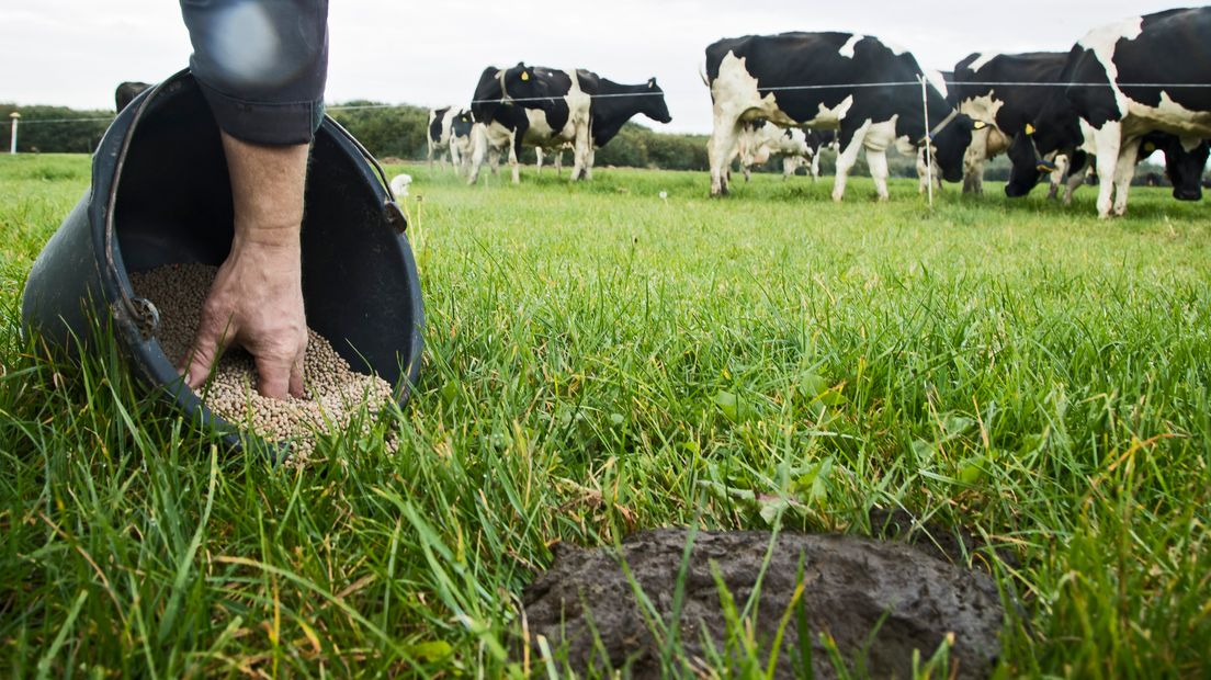 Schouten wil dat kunstmest wordt vervangen door dierlijke mest (Rechten: ANP XTRA/Koen Suyk)