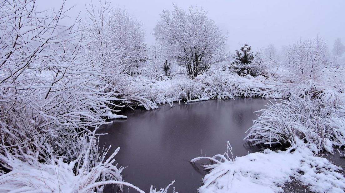 Sneeuw op de Noetselerberg in Nijverdal