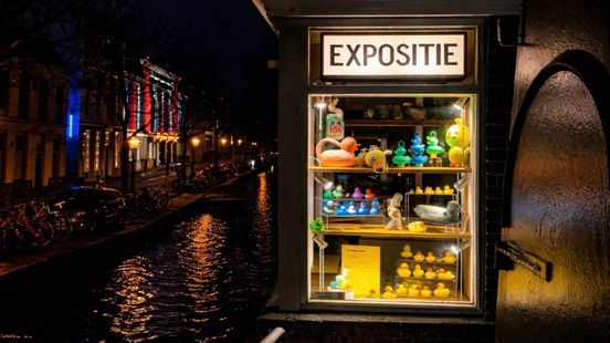 Tientallen badeendjes uit gracht gevist: 'Het is echt een project van de stad' Home
