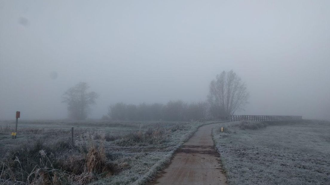 Mist in het Stroomdallandschap Drentsche Aa (Rechten: Josien Feitsma/RTV Drenthe)