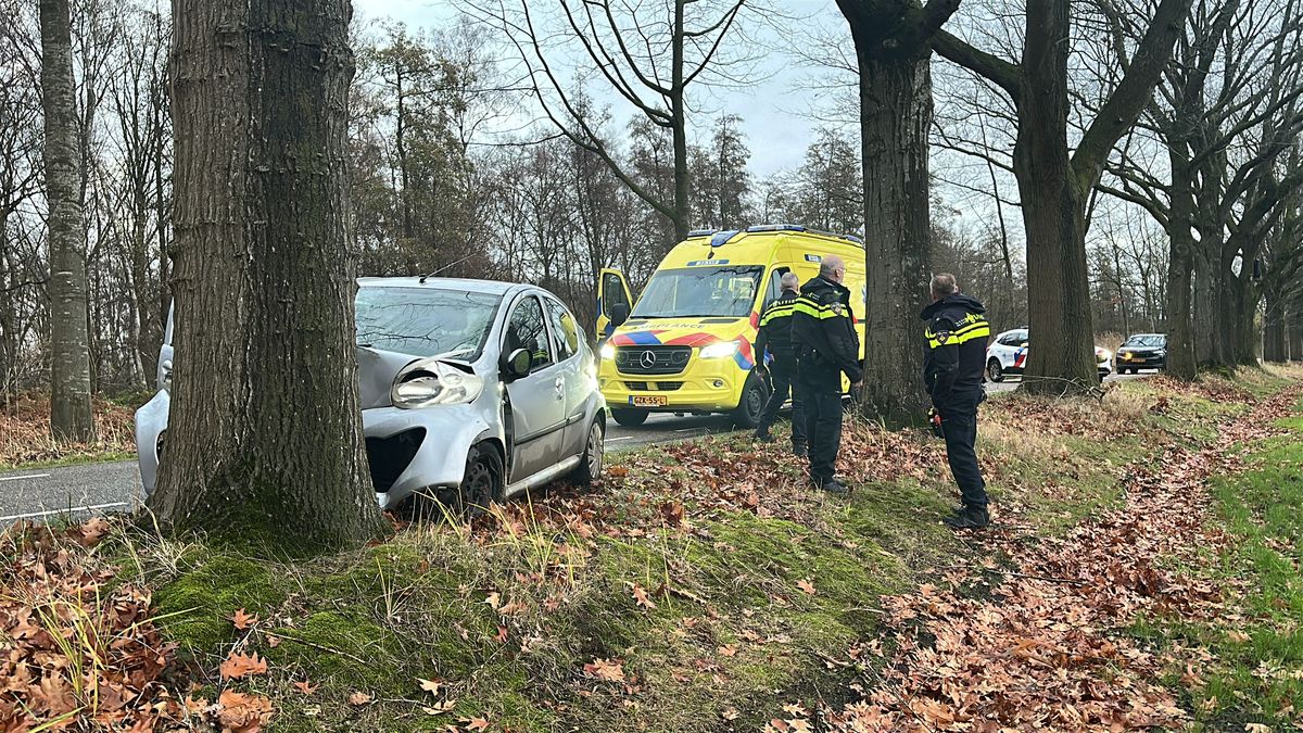 Automobilist gewond na botsing tegen boom in Griendtsveen