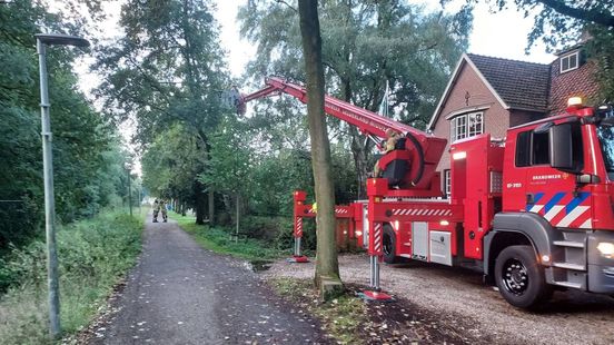 Tak bungelt gevaarlijk boven fietspad