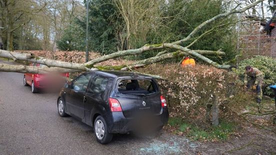 Winderige nacht: omgewaaide bomen op auto en het spoor
