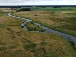 Provincie wil natuurgrond Drentsche Aa-gebied verkopen en uitruilen
