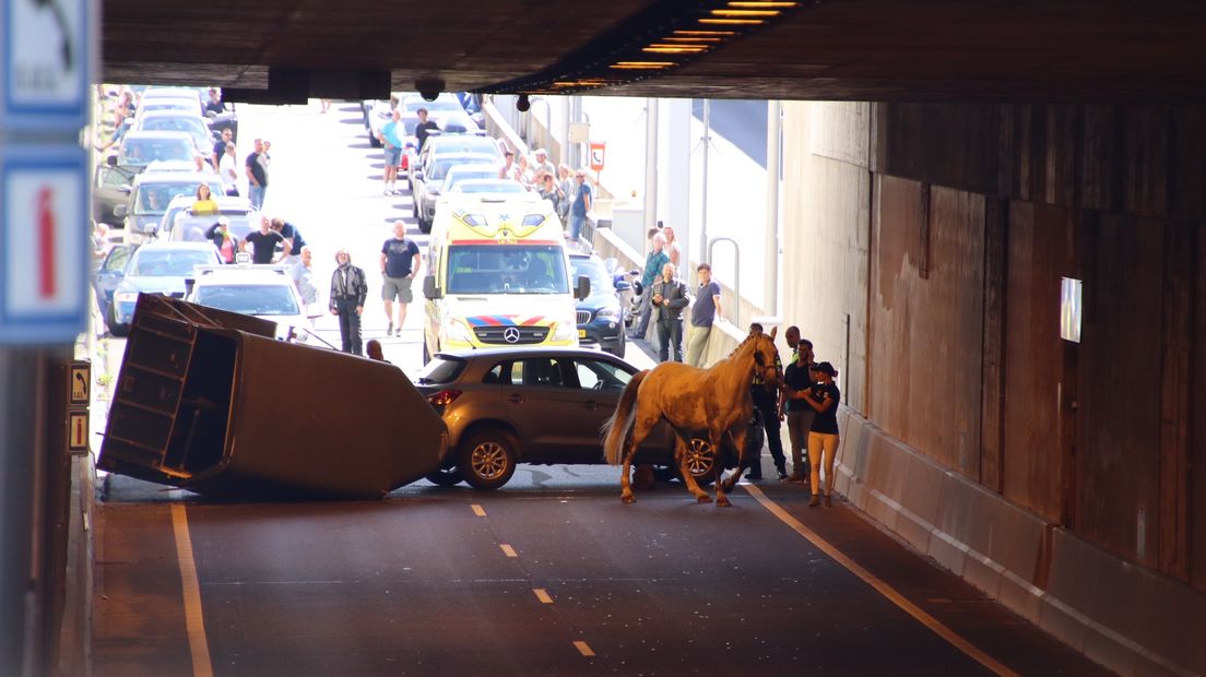 Er staat een paard in de tunnel...