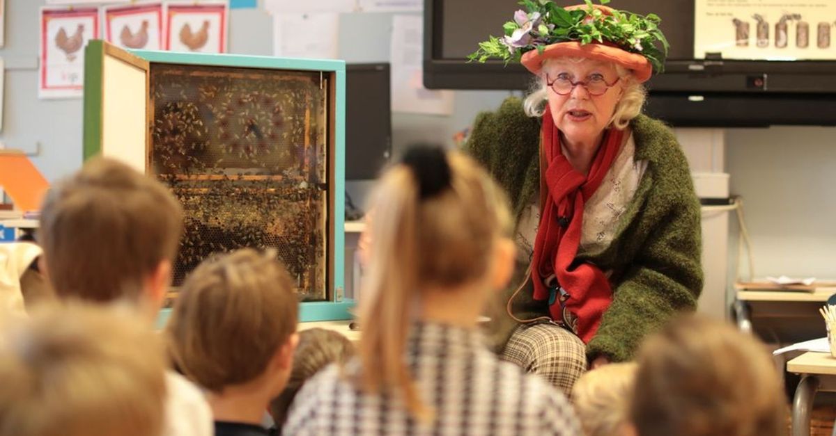 Wat doet een bij? Deze kinderen leren het in de klas van een imker