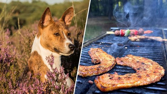 Barbecues, honden en kaarsjes: dit onderzocht Gelderland tegen stikstofuitstoot