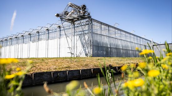 Delfland heft waterverbod tijdelijk op door goede waterpeilen Home