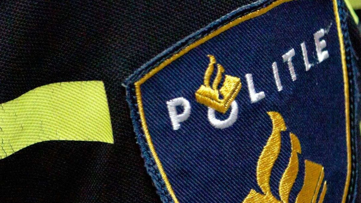 Vier aanhoudingen na vondst tiental gestolen voertuigen