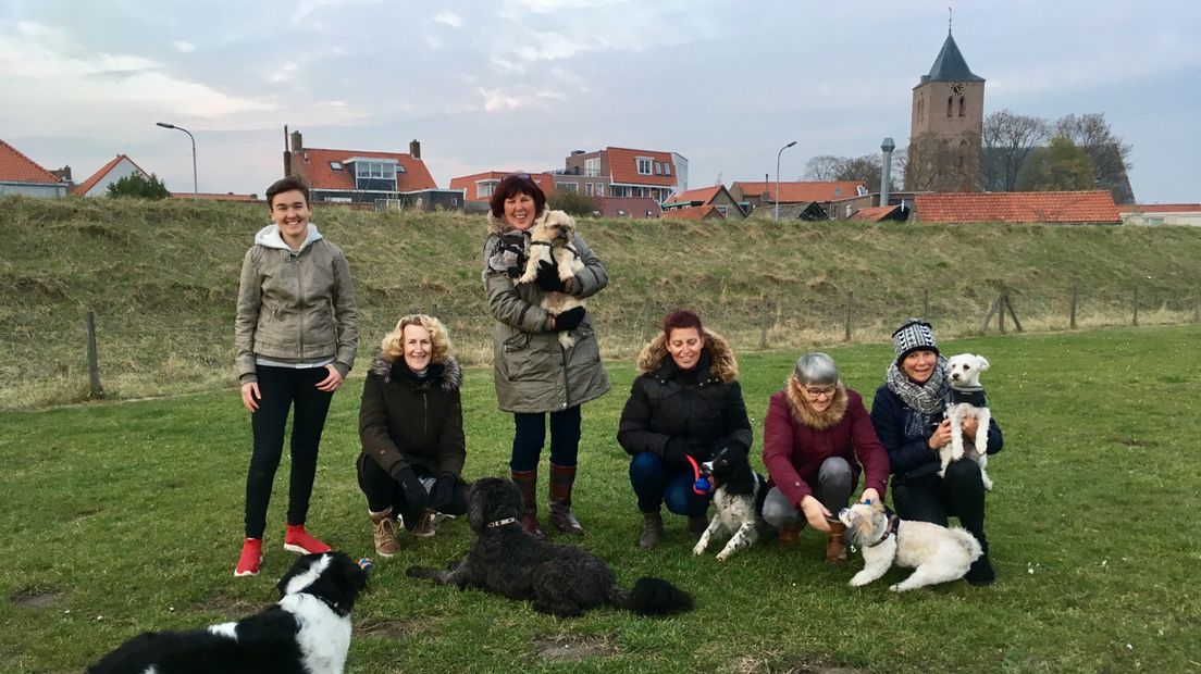 Hondenbezitters pleiten voor een afgebakend hondengedeelte op de Karolingenburg in Oost-Souburg